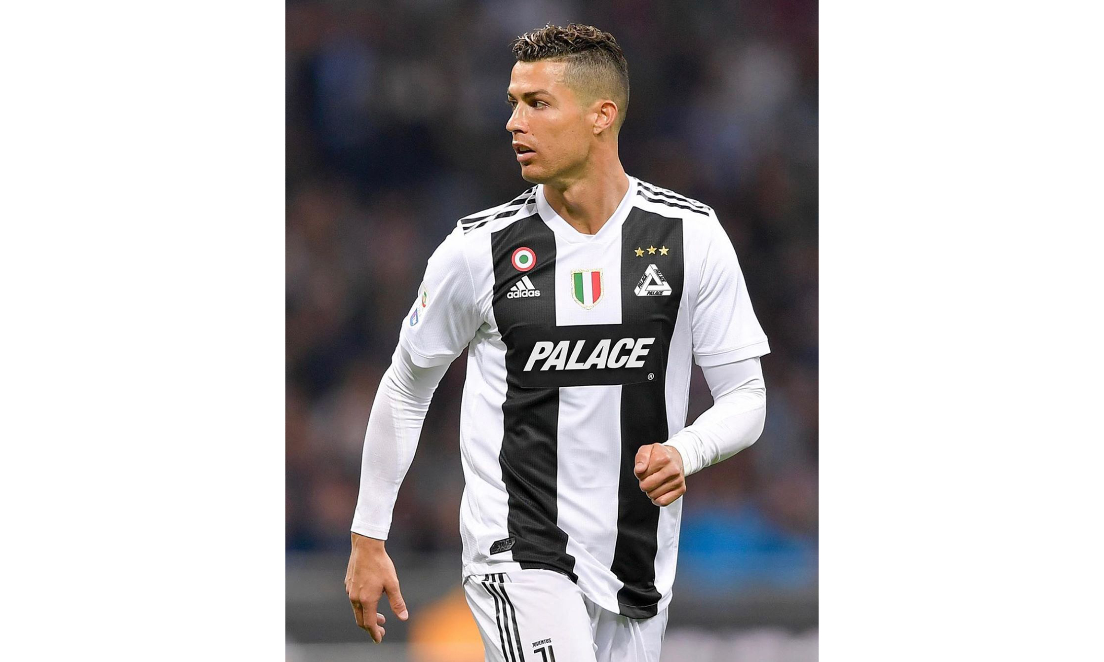 条更接近真 条更接近真