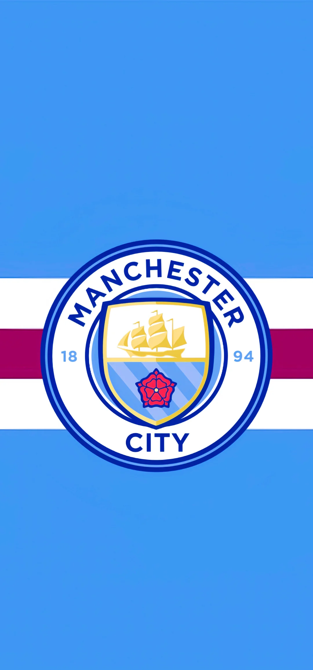 违规率与投 违规率与投