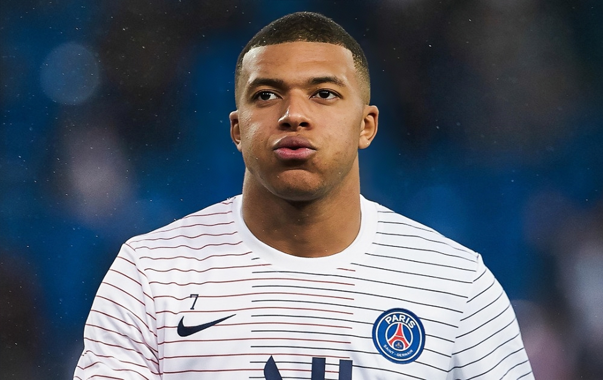 拳击资格体 拳击资格体